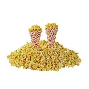 Coni per popcorn 250pz